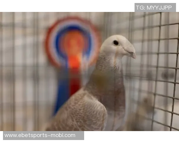 克鲁泽回顾职业生涯薪资变化从6000欧到30万的心路历程